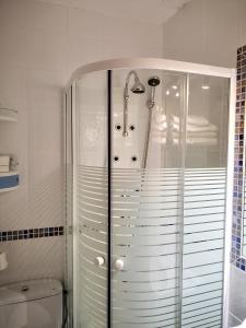 阿维拉阿尔坎塔拉旅舍的带淋浴和卫生间的浴室