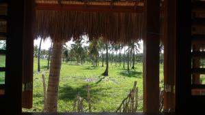 伊卡莱Chalés Bons Ventos - Icaraizinho的享有棕榈树田野的窗户