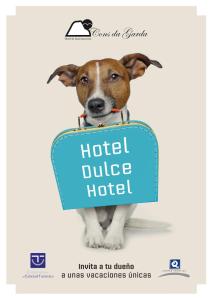 奥格罗夫半岛圣维森特康斯达加尔达酒店及公寓的一张带有酒店公爵酒店标志的狗海报