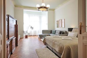 布拉格布拉格中心公寓的客厅配有床和沙发
