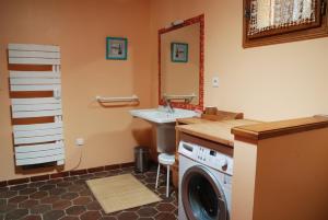 Bucey-en-OtheGITE LA COLIN'OTHE的一间带洗衣机和水槽的浴室
