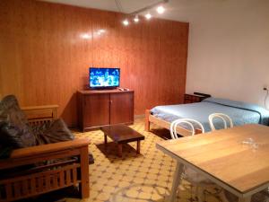 门多萨Alojamiento Aloja N1的一间卧室设有一张床,木墙上配有电视。