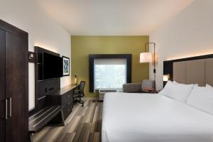 莱克兰南莱克兰智选假日酒店的配有一张床和一台平面电视的酒店客房