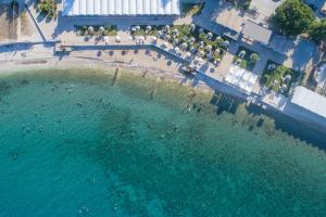 扎金索斯镇Strada Marina Hotel的享有海滩和泳池的空中景致