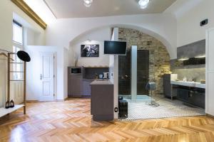 布拉格Apartment Nebovidy I - Free Parking - Terrace - Air Conditioning的大型客房设有厨房和客厅。
