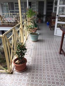 马埃堡奥伯格萨拉迪尔酒店的房屋地板上种有盆栽植物的门廊