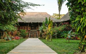 马尔多纳多港Corto Maltes Amazonia Lodge的通往茅草屋顶房屋的路径