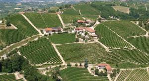 Agriturismo Finestre di Langa鸟瞰图