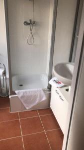 纽伦堡Waldhotel Zollhaus的带淋浴和盥洗盆的浴室