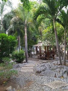 席昌岛查理简易别墅酒店的棕榈树公园,长凳和房子