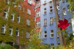 柏林科奈克申艺术酒店的一座建筑前的红花