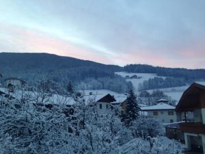 瓦尔道拉Ferienwohnung Pramstaller的一座被雪覆盖的小镇,背景是一座山