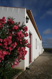 塞尔帕莫雷纳山农场旅游酒店的一座建筑的侧面是粉红色的花朵