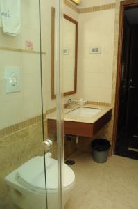 钦奈Ponnis Grand Inn的一间带卫生间和水槽的浴室