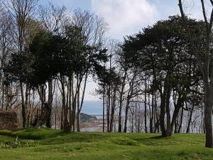普卢格雷斯康克格雷奇庄园酒店的一群树木在一片海洋的田野里