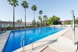 科尔多瓦艾可思拉斯阿德尔法斯酒店的一座棕榈树环绕的游泳池