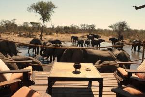 RammuSouth Okavango - Omogolo Hideaways的一群大象站在水里