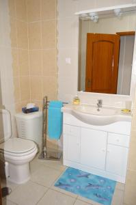 佩尼契Apartamento na Cidade do Surf的一间带卫生间、水槽和镜子的浴室