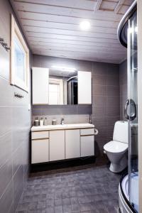 普哈圣山皮哈冰屋度假村的一间带水槽和卫生间的浴室