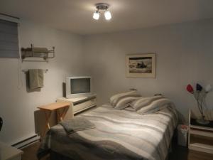 圣安娜德蒙Gite La Ptite Falaise hébergement touristique的一间卧室配有一张床和一台电视