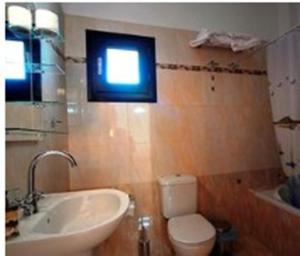 古卡斯特隆Fotini Apartments的一间带水槽和卫生间的浴室以及窗户。