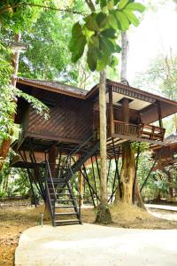 考索考索自然度假酒店的树屋,有楼梯通往
