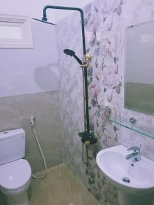 潘切坎安酒店的一间带卫生间和水槽的浴室