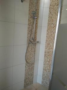 马格德堡Aaron - Privatunterkunft的带淋浴的浴室和玻璃门