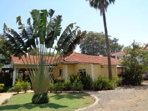 基苏木The Clarice House的黄色房子前面的棕榈树