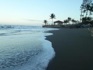 卡西塔斯Eco Coco Loco by Rotamundos的棕榈树海滩和海洋