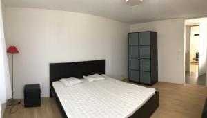 克洛滕Close to Zürich centre and Airport的一间卧室配有一张大床和一个黑色橱柜