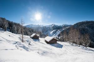 阿尔滕马克特蓬高Lochgrubgut的一座雪覆盖的山,上面有两座小屋