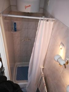 松博特海伊Liszt Apartman的浴室内配有白色淋浴帘。