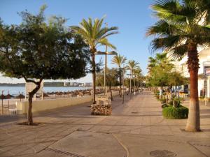 卡拉米洛Sol y Luna Cala Millor的海滩上种有棕榈树的海滨步道