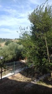 CastelplanioCamping Agriturist Sant'Anna的院子中树的围栏