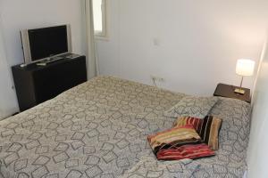 埃斯特角城Green Park en Punta del Este的一间卧室配有一张带两个枕头的床和电视。