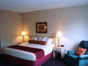 鸽子谷皮格佛格酒店的配有一张床和一把椅子的酒店客房