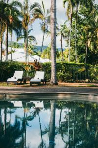 道格拉斯港道格拉斯港天堂高尔夫度假酒店的两座棕榈树泳池旁的白色长椅