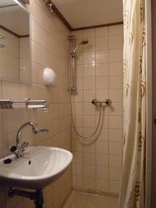 阿姆斯特丹倾城船上酒店的一间带水槽和淋浴的浴室