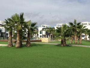 奥里韦拉海滩Apartment OasisBeach La Zenia的楼前一排棕榈树