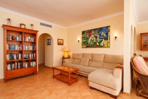 内尔哈Carabeo 52 Apartments Casasol的带沙发和书架的客厅