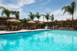 圣克拉拉圣克拉拉贝斯特韦斯特大学酒店的一个带椅子和遮阳伞的大型游泳池
