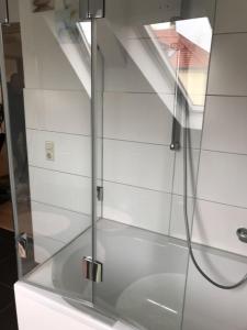 梅森Ferienwohnung Tonberg 4的浴室里设有玻璃门淋浴