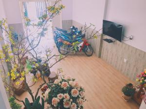 潘切坎安酒店的摩托车停在一个有盆栽植物的房间
