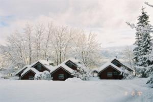 努尔黑姆松Hardanger Feriesenter Nesvika的一组雪覆盖的小屋