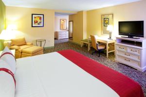 尚蒂伊尚蒂伊杜勒斯世博机场假日酒店的酒店客房设有一张大床和一张书桌。