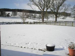 马勒姆绿林乡间住宿加早餐旅馆的雪覆盖的院子,围有栅栏和田野