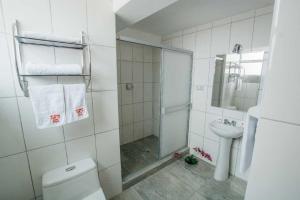 普诺Kaaro Hotel El Buho的带淋浴、卫生间和盥洗盆的浴室