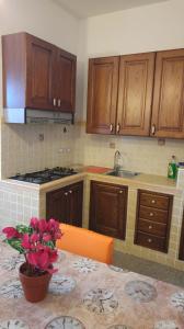 卡坦扎罗丽都Appartamenti S'Agapo'的一个带木制橱柜和水槽的厨房