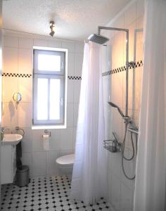 HottelstedtFeWo Hottelstedt的带淋浴和卫生间的浴室以及窗户。